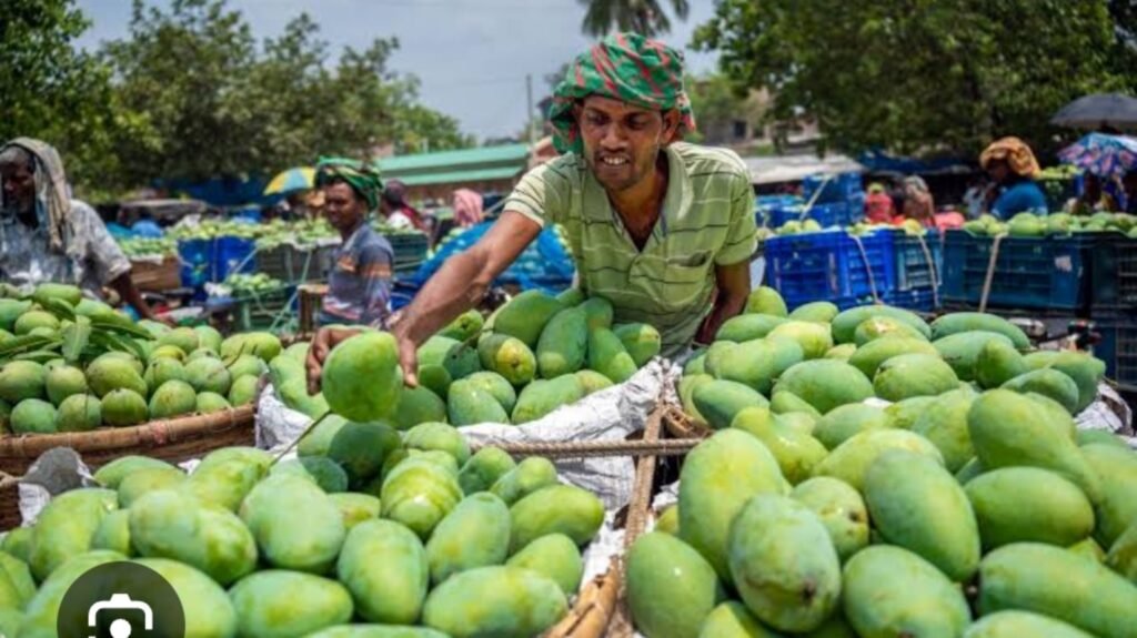 আগাম ফলে সক্রিয় কেমিক্যাল সিন্ডিকেটবিষমাখা আম-লিচুতে সয়লাব বাজার