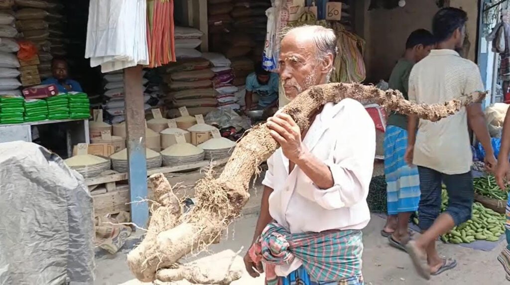 বাগেরহাটে চুইঝালের ঝাঁজে সরগরম ঈদের বাজার, বেড়েছে দামও