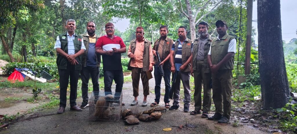 লোহাগাড়ায় পাচারকালে ১টি হনুমান ও ১২টি কচ্ছপ সহ পাচারকারী আটক